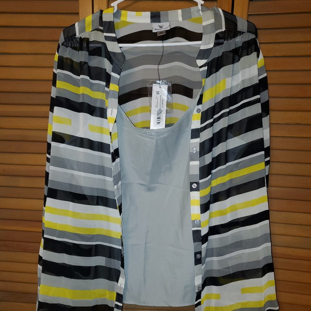 Sheer striped blouse with matching camisole